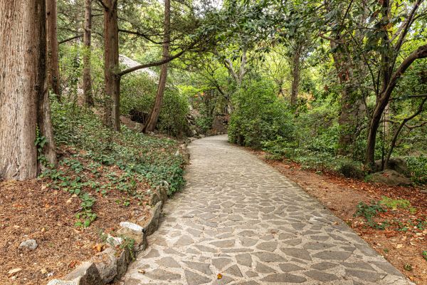 Stone Walkway Repair in Fuquay Varina