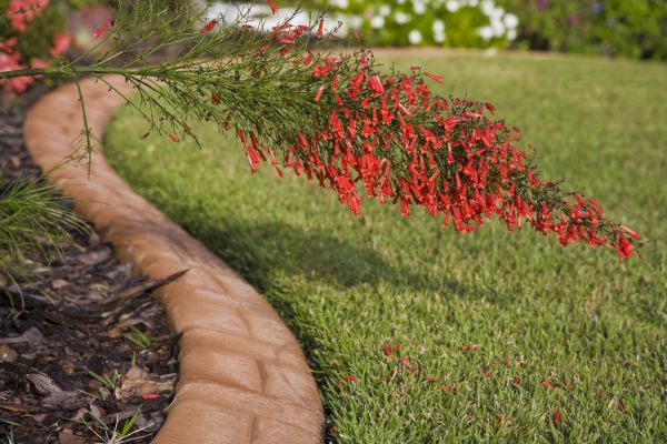 Brick Edging in Fuquay Varina