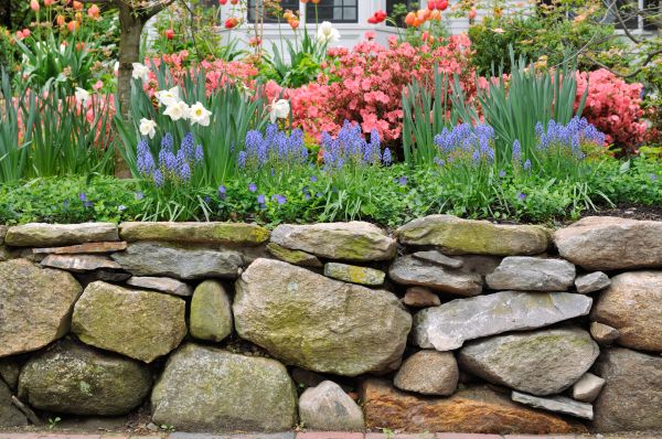 Stone Wall Hardscaping in Fuquay Varina
